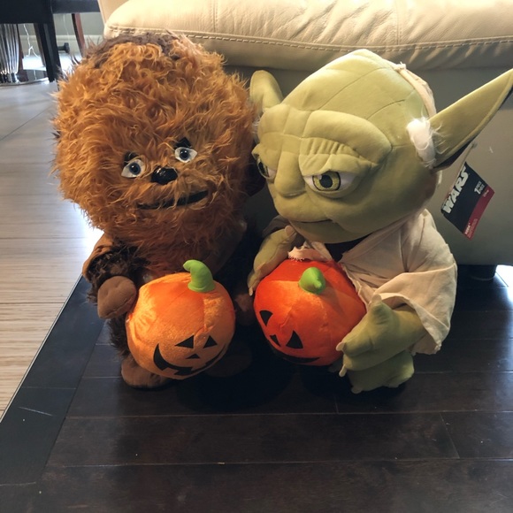 Meet your Posher, Armani - Picture 1 of 1